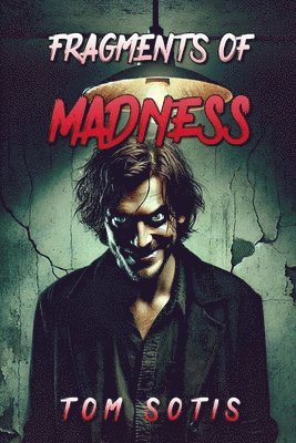 bokomslag Fragments of Madness