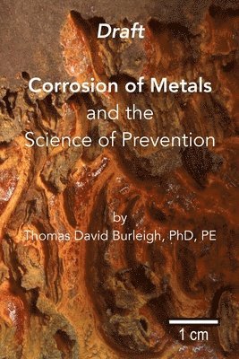 bokomslag Corrosion of Metals