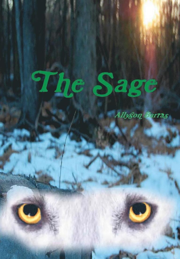 The Sage 1