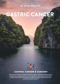 bokomslag Gastric Cancer