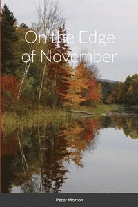 bokomslag On the Edge of November