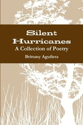 Silent Hurricanes 1