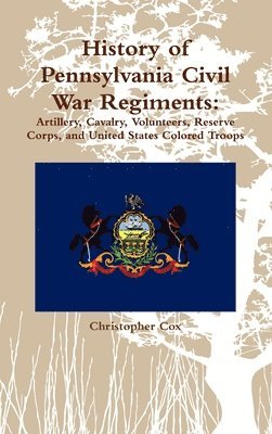 bokomslag History of Pennsylvania Civil War Regiments