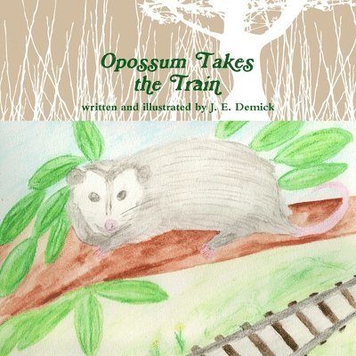 Opossum Takes the Train 1