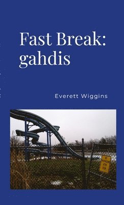 bokomslag Fast Break: gahdis