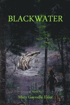 bokomslag Blackwater