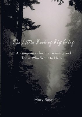Mary Rose - Little Book of Big Grief, Häftad