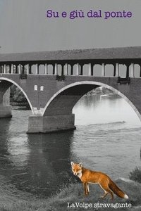 bokomslag Su e giu dal ponte