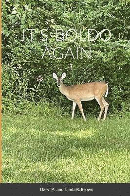 Daryl P Brown, Linda R Brown, Daryl P. Brown, Linda R. Brown - It's Boldo Again, Häftad