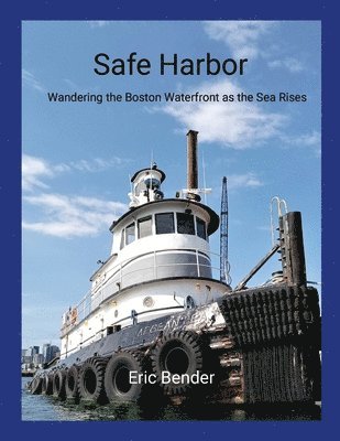 bokomslag Safe Harbor