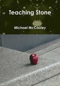 bokomslag Teaching Stone