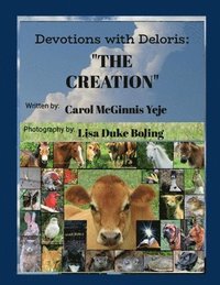 bokomslag Devotions with Deloris: 'The Creation'