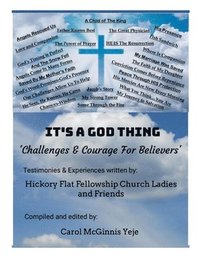 bokomslag It's a God Thing: 'Challenges & Courage For Believers'