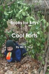 bokomslag Cool Forts