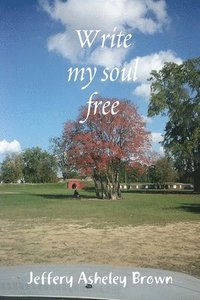 bokomslag Write my soul free