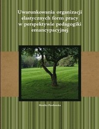 bokomslag Uwarunkowania organizacji elastycznych form pracy w perspektywie pedagogiki emancypacyjnej