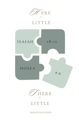 David Reed - Here a Little There a Little, Häftad