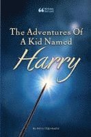 bokomslag The Adventures Of A Kid Named Harry