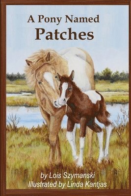 A Pony Named Patches 1