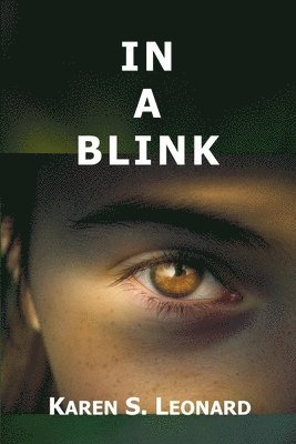 Karen Leonard - In a Blink, Häftad