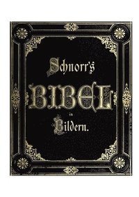 bokomslag Die Bibel in Bildern