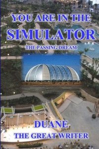 bokomslag You Are in the Simulator the Passing Dream