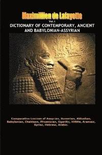 bokomslag Dictionary of Contemporary, Ancient and Babylonian Assyrian. Vol.1 (A-B)