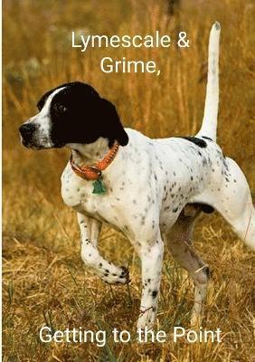 Lymescale & Grime, Getting to the Point 1
