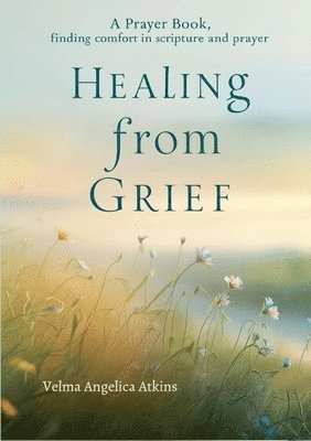 bokomslag Healing from Grief