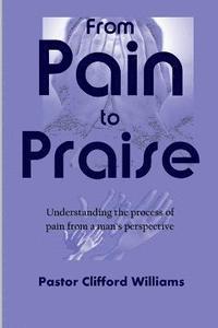 bokomslag From Pain to Praise