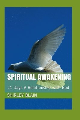 bokomslag Spiritual Awakening