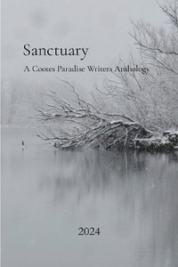 bokomslag Sanctuary