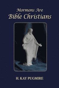 bokomslag Mormons Are Bible Christians