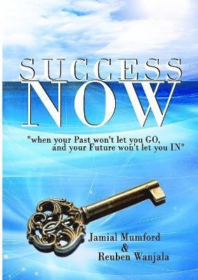 Success Now 1