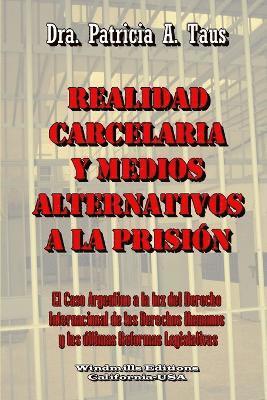 bokomslag Realidad Carcelaria Y Medios Alternativos A La Prision