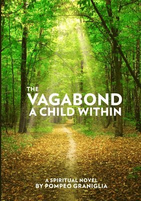 bokomslag Vagabond