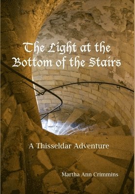 bokomslag A Light at the Bottom of the Stairs: A Thisseldar Adventure