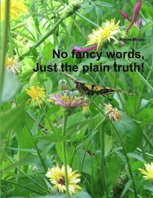 bokomslag No Fancy Words, Just the Plain Truth!