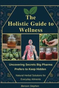 bokomslag The Holistic Guide to Wellness