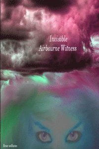 bokomslag Invisible Airbourne Witness