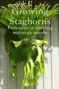 bokomslag Growing Staghorns from Spore