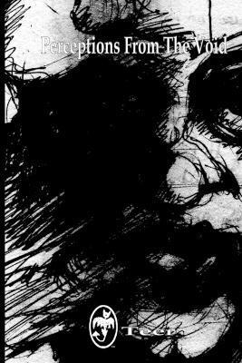 Perceptions From The Void