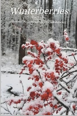 bokomslag Winterberries