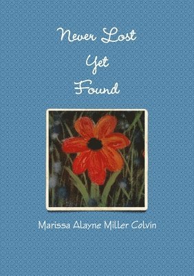 Marissa Alayne Miller Colvin - Never Lost Yet Found, Häftad