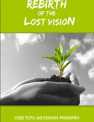 Rebirth of the Lost Vision 1