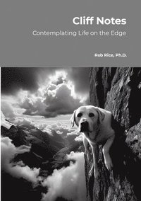 bokomslag Cliff Notes: Considering Life's Meaning on the Edge