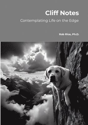 Cliff Notes: Considering Life's Meaning on the Edge 1