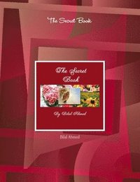 bokomslag Secret Book