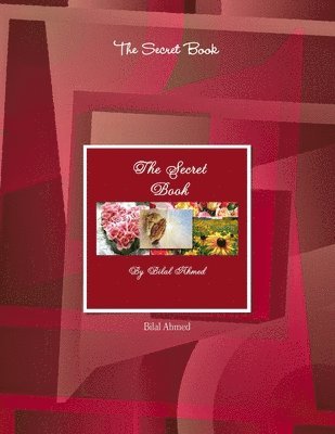 bokomslag Secret Book