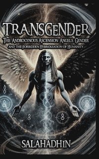 bokomslag Transgender: The Androgynous Ascension - Angels, Gender, and the Forbidden Hybridization of Humanity